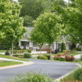 Exploring the Community Programs Available for Seniors in York County, SC